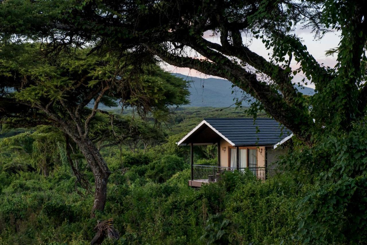 Lions Paw Ngorongoro Ξενοδοχείο Εξωτερικό φωτογραφία