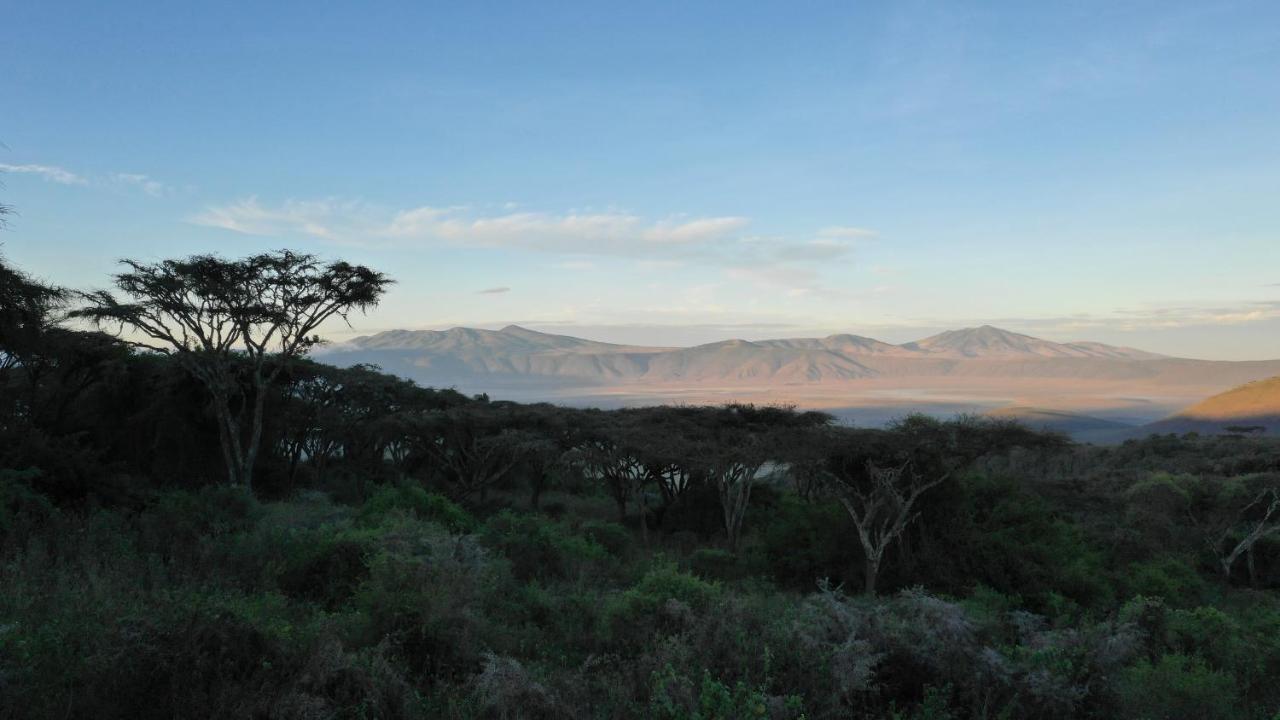 Lions Paw Ngorongoro Ξενοδοχείο Εξωτερικό φωτογραφία