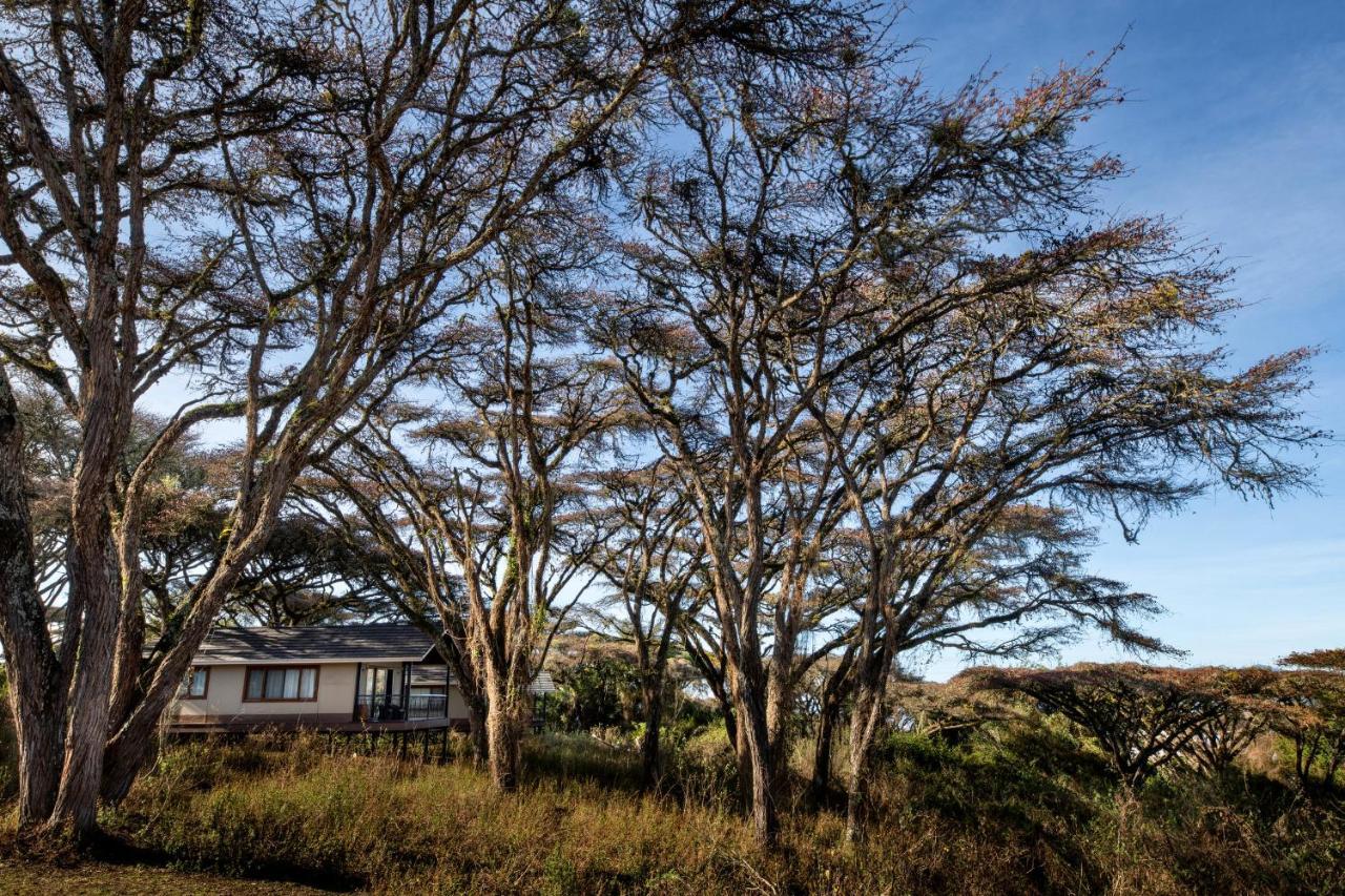 Lions Paw Ngorongoro Ξενοδοχείο Εξωτερικό φωτογραφία