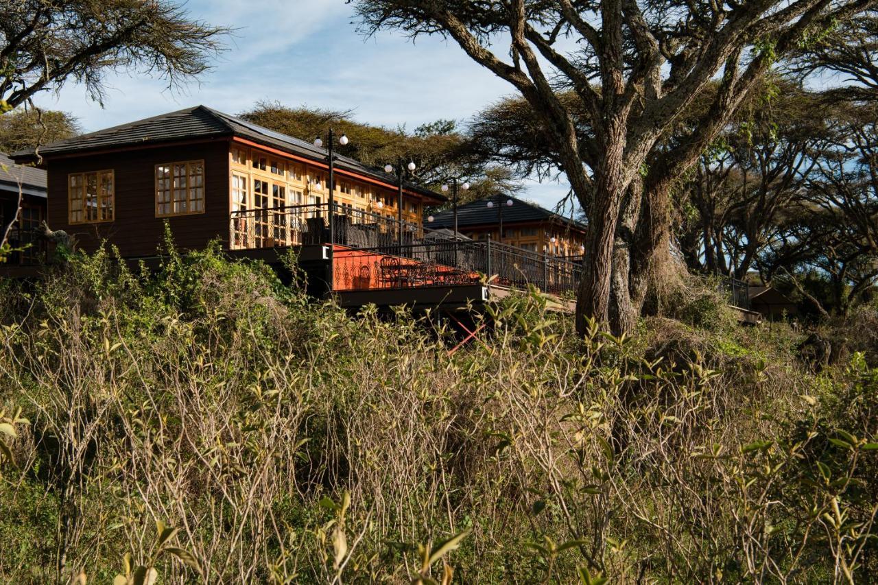 Lions Paw Ngorongoro Ξενοδοχείο Εξωτερικό φωτογραφία