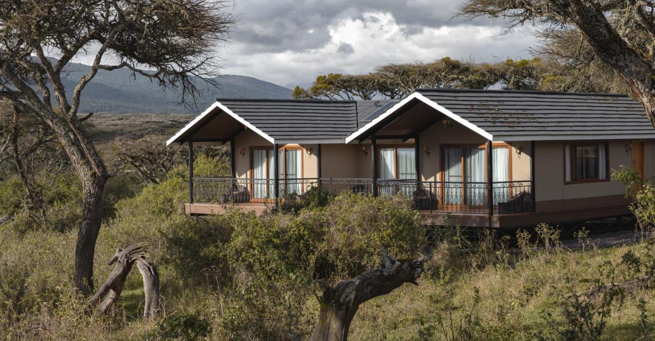 Lions Paw Ngorongoro Ξενοδοχείο Εξωτερικό φωτογραφία